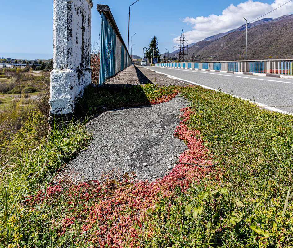 Пешком через Бзыбь - Eugene *