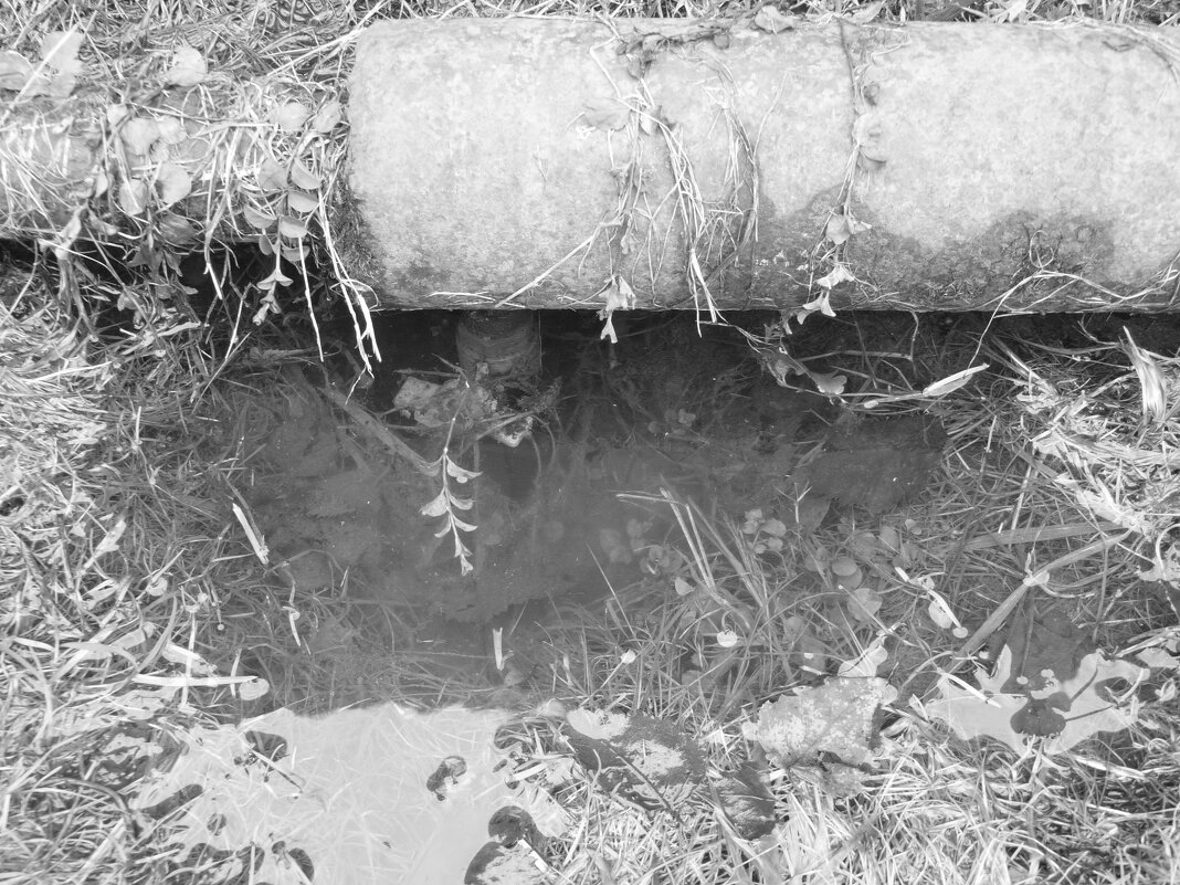 Мечты о ч/б Лейке 112. - Михаил Елочкин