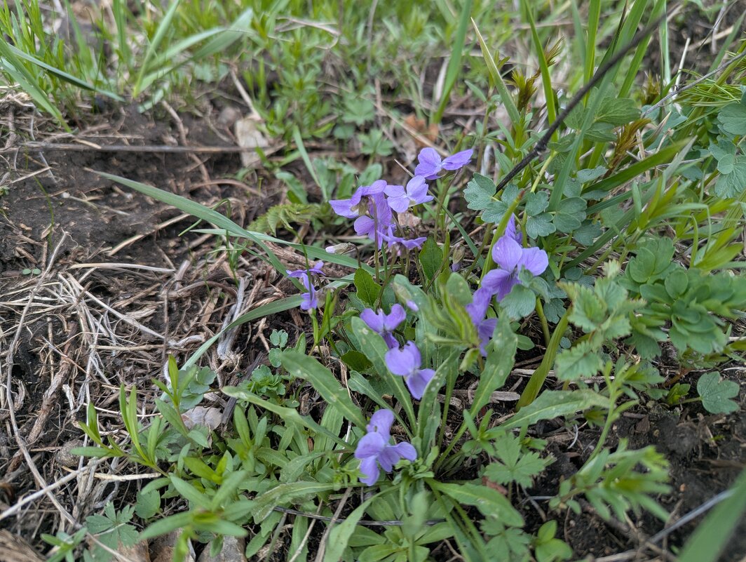 Апрель - Андрей Хлопонин