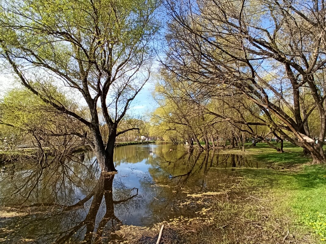 Приметы весны - Галина 