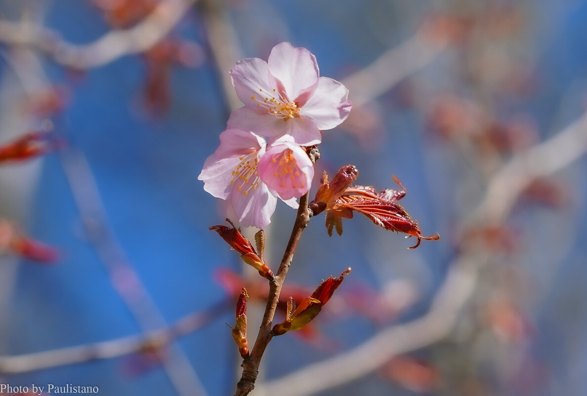 Пробуждение... - Владимир Жданов