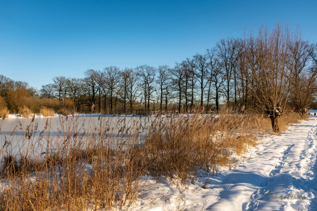 Из зимнего... - Николай Гирш