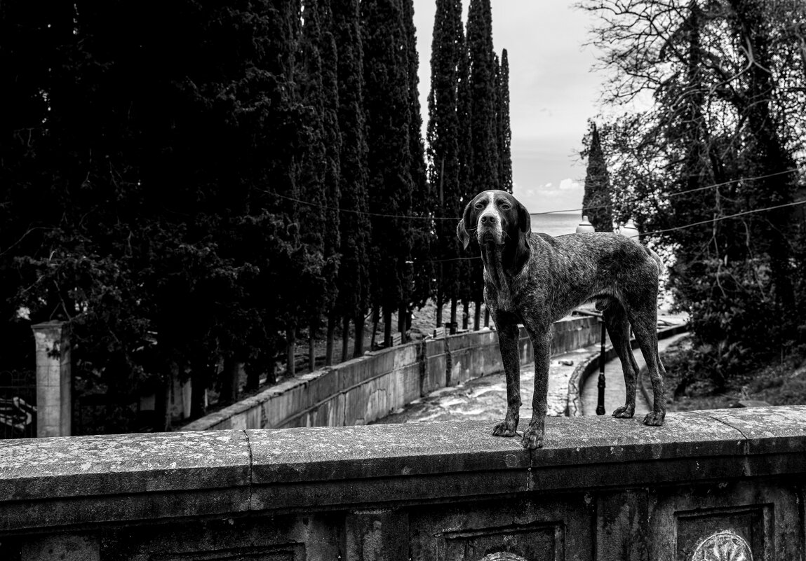 Дневной дозор - Татьяна [Sumtime]