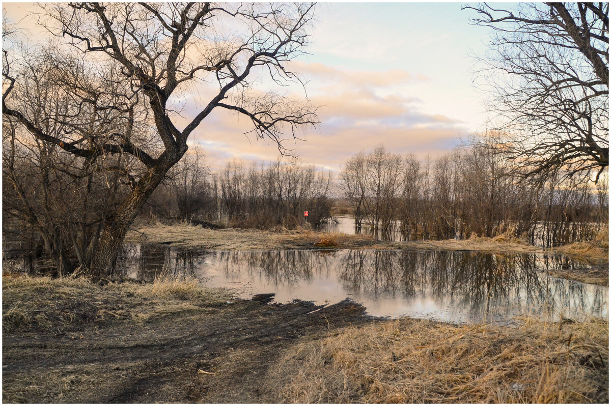 Весенний разлив. - Михаил К