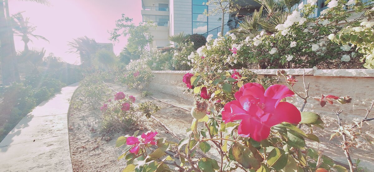 14  КЛОС (128) - CLOSE WAYS ALL