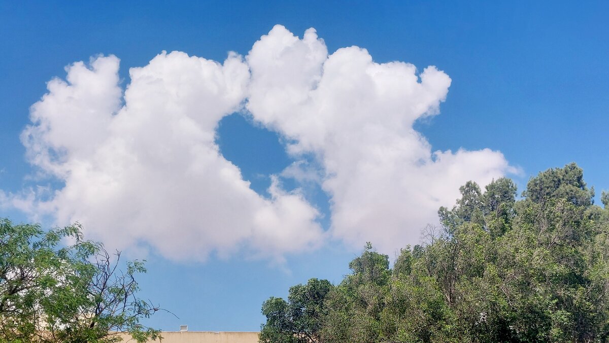 14  КЛОС (131) - CLOSE WAYS ALL