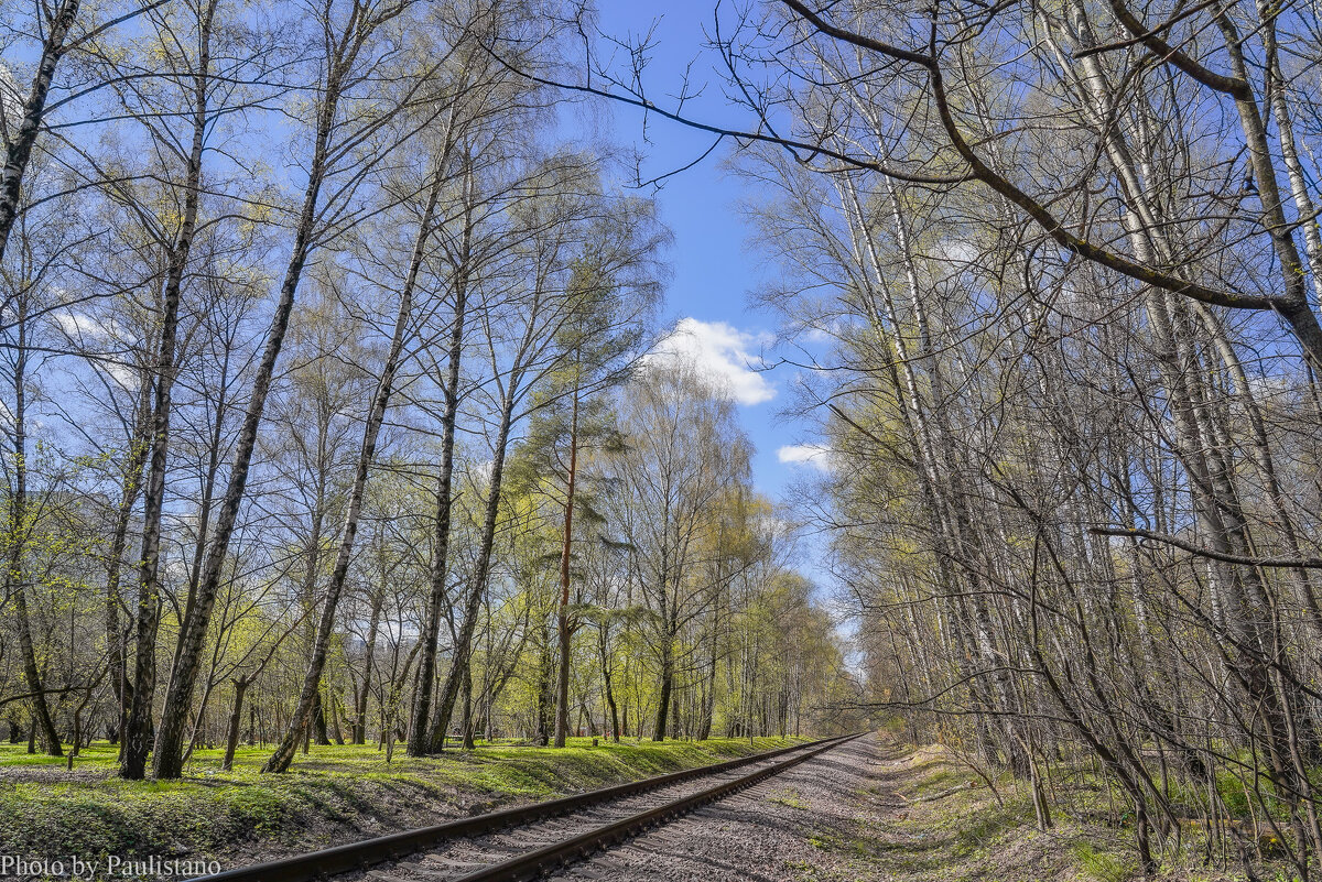 Под небом апреля... - Владимир Жданов