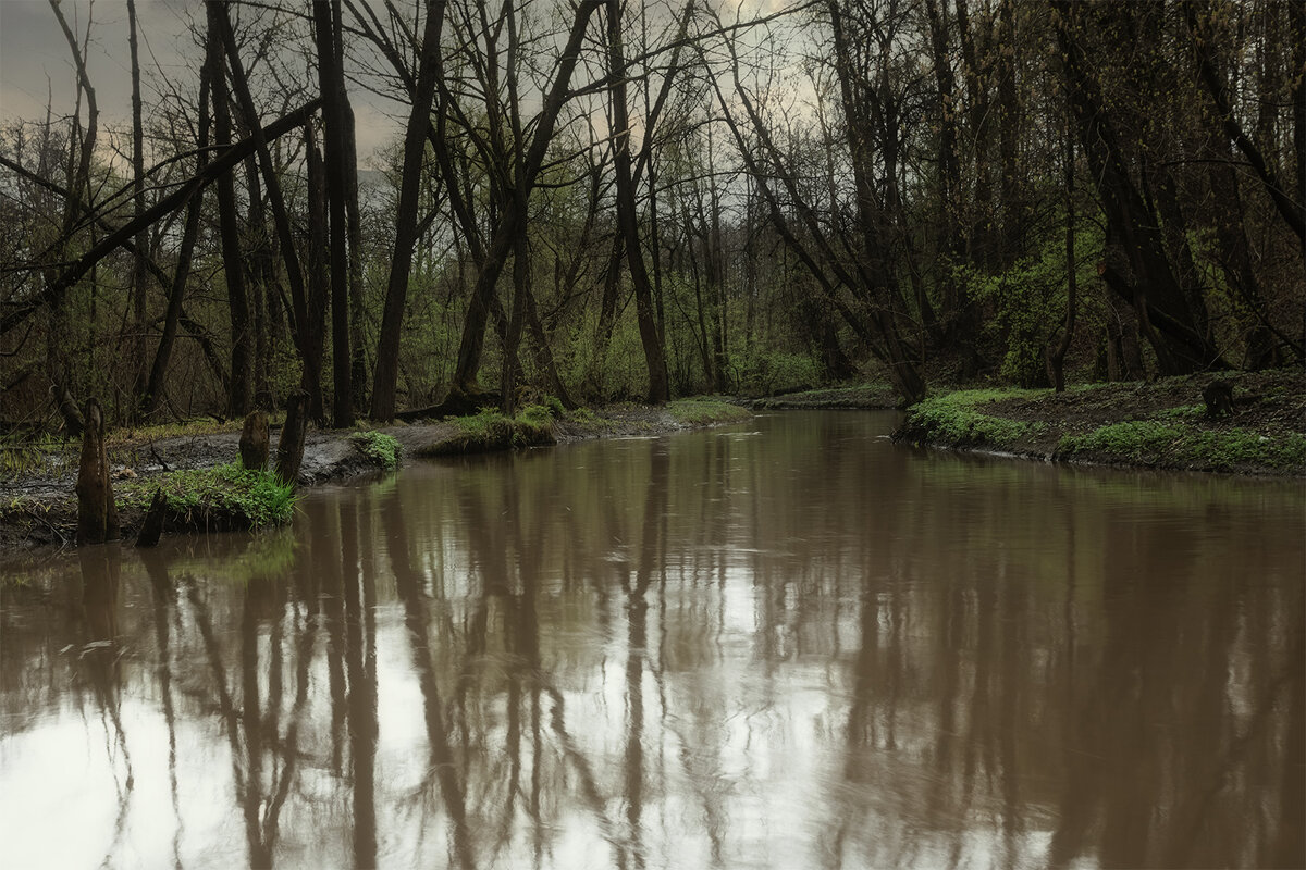 смеркалось - Michel 