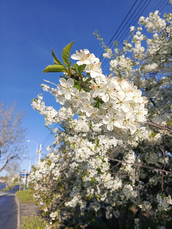 Холодно, но красиво - Татьяна Пальчикова