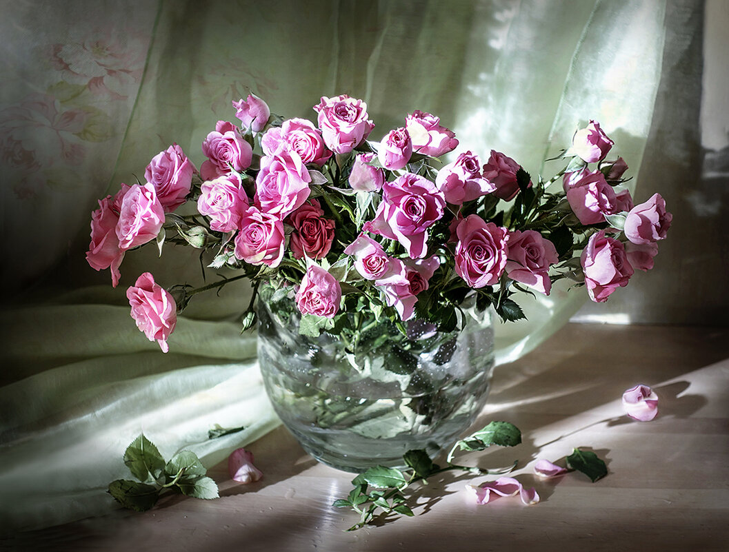 В солнечном свете... - Bosanat 