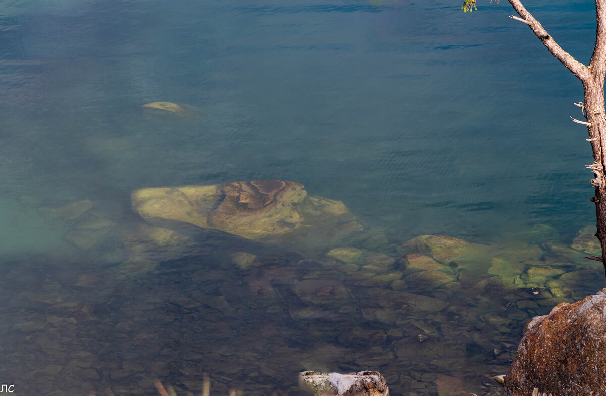 Байкальская вода - Любовь Сахарова