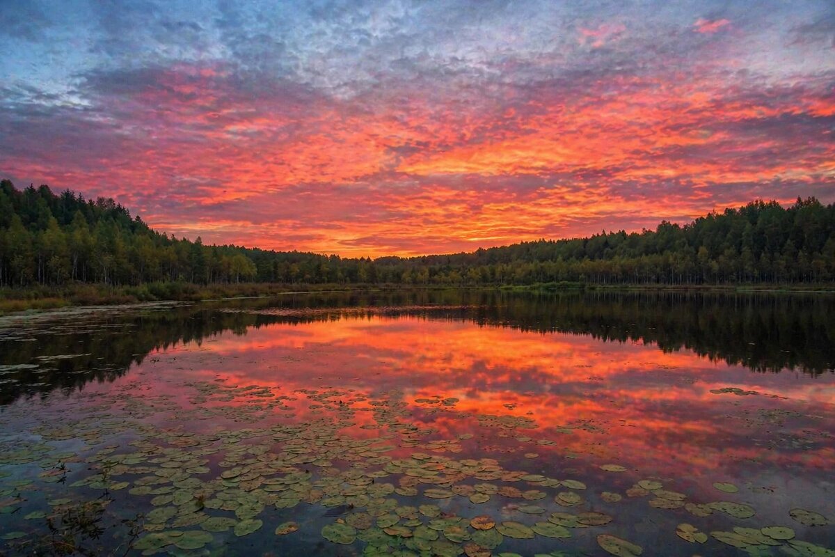 Лесное озеро - Денис Бочкарёв