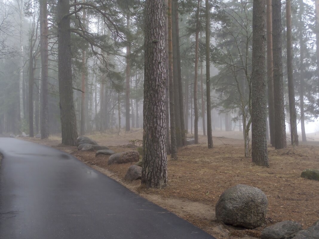 В приморском тумане.... - Юрий Цыплятников