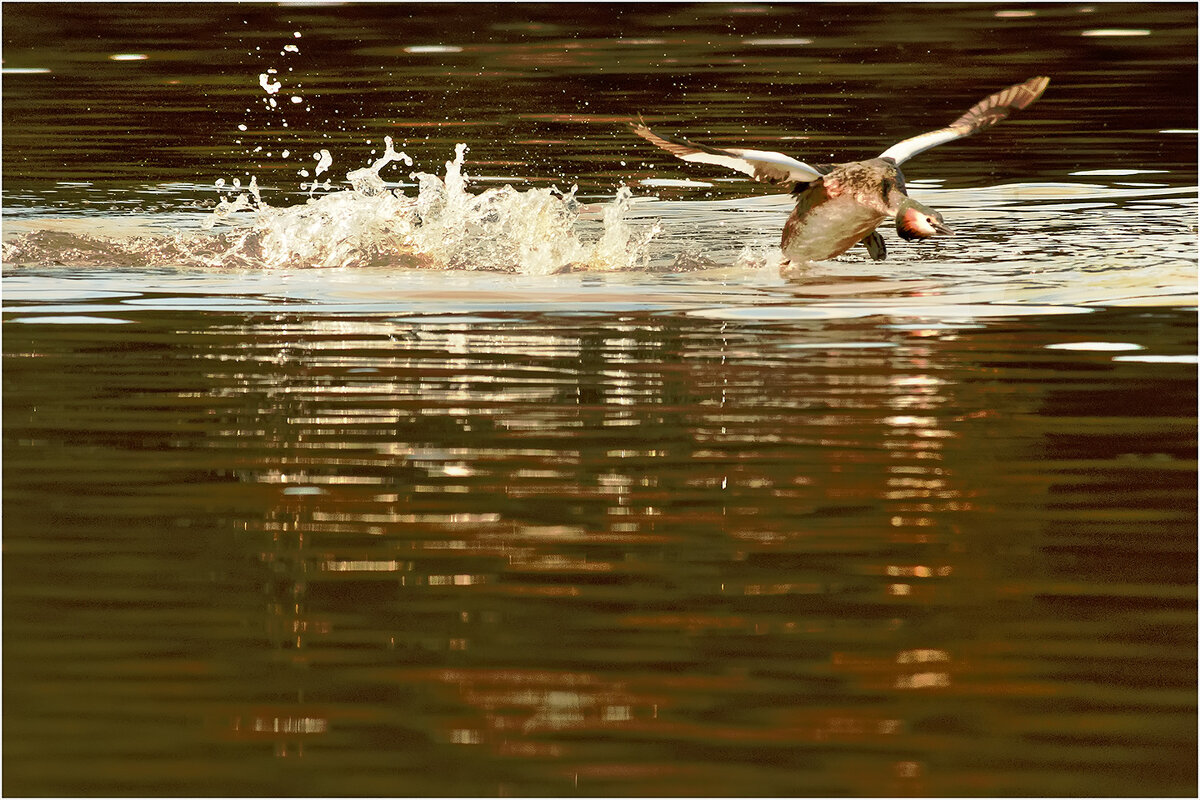 Отрыв - Валентин Котляров