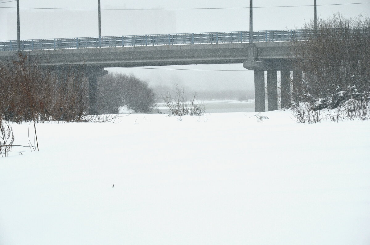 Апрельский снег - Мишель71 