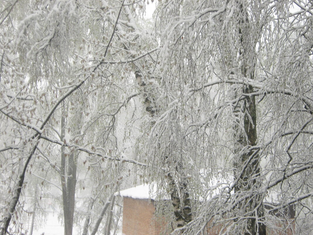 Зима пришла 27 апреля - Елена Семигина