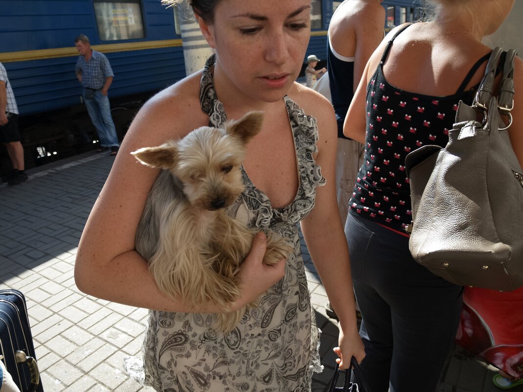 *** - Сергей Золотавин