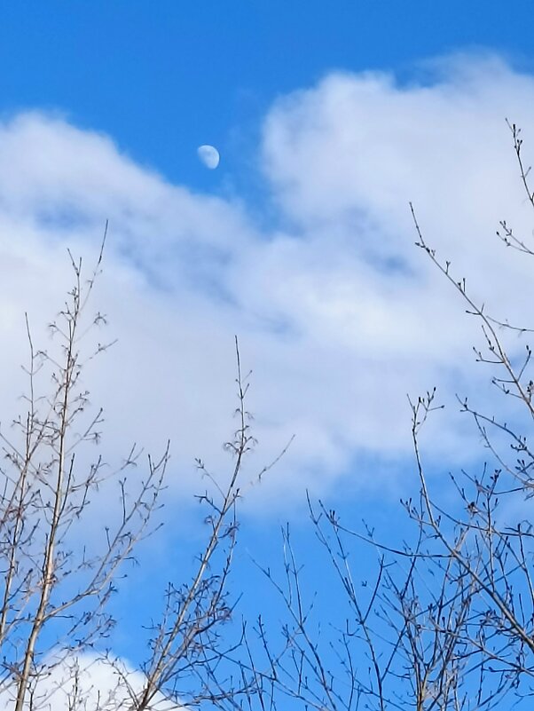 Месяц. - Светлана Кузнецова