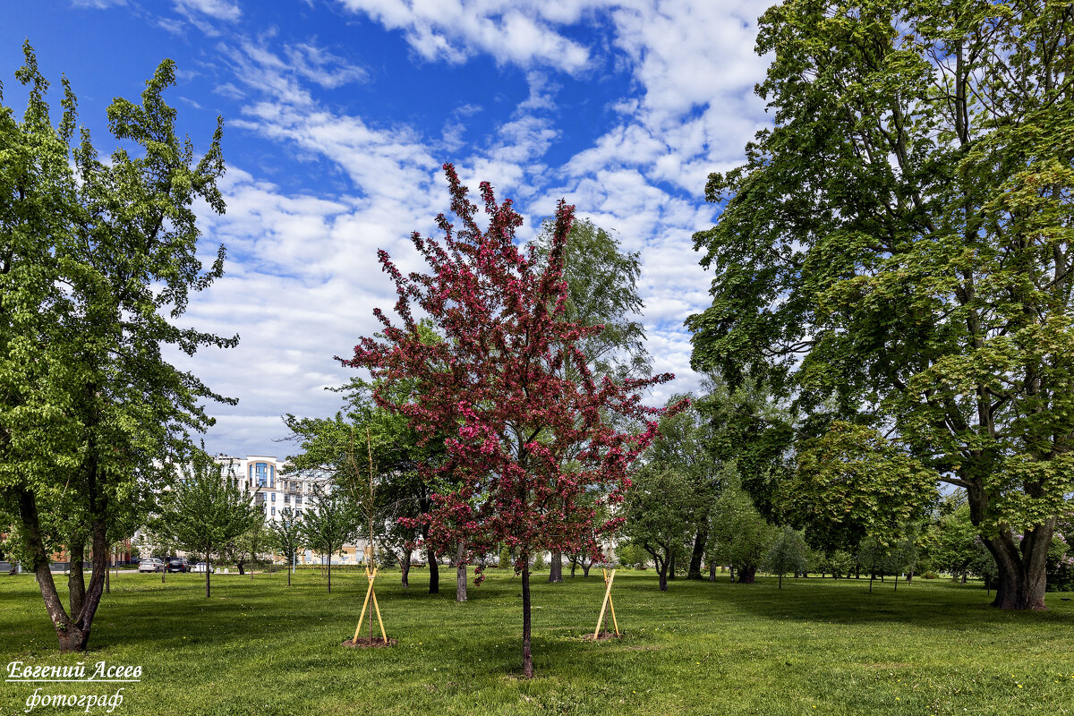 Лето начинается - Евгений 