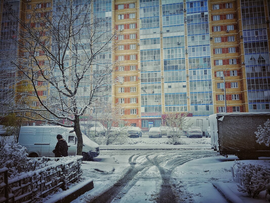 Гримасы природы, 27 апреля 2026 - Алексей Архипов