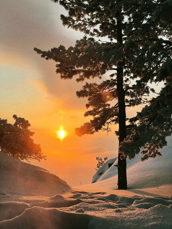 Зимнее Солнце - Георгиевич 