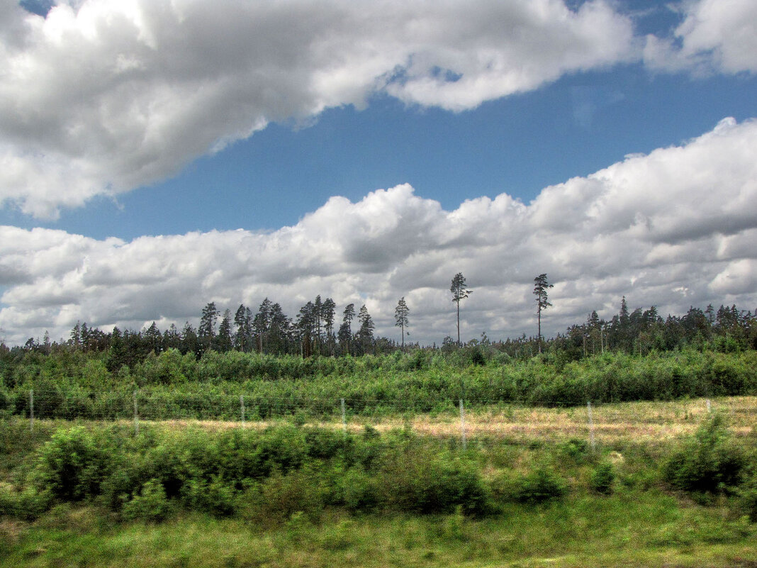 Южнее местечка Беккарюд (Bäckaryd) - Александр Ильчевский 