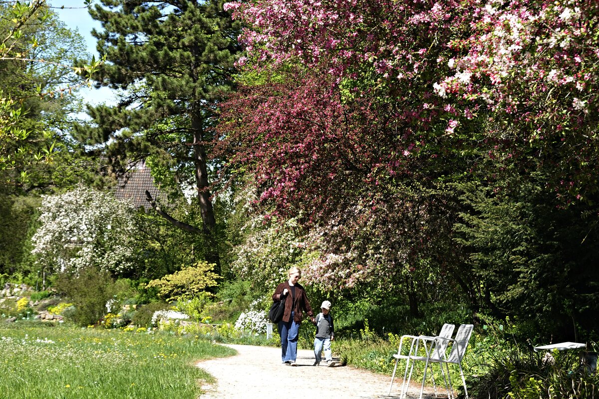 Апрельская палитра... - Галина 