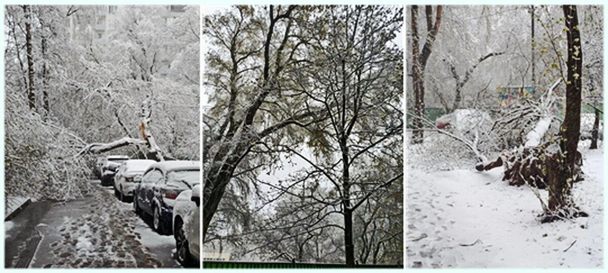 Утро 27 апреля. Москва - Анастасия Смирнова