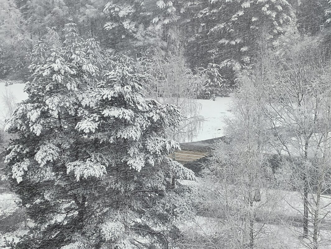 весенний снег выпал - Владимир 