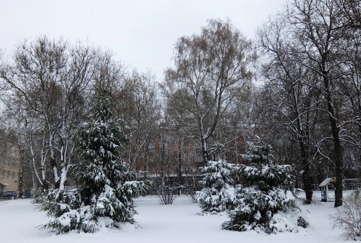 В зимнем месяце апреле. - Люба 
