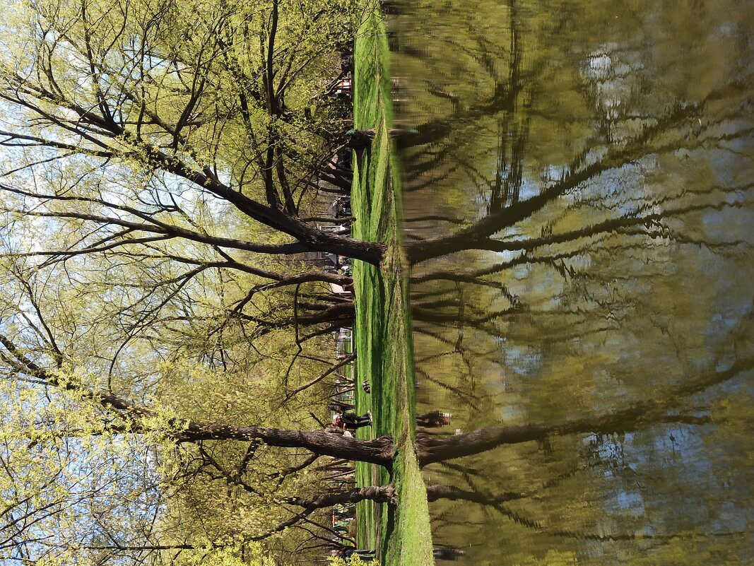 Приметы весны - Галина 