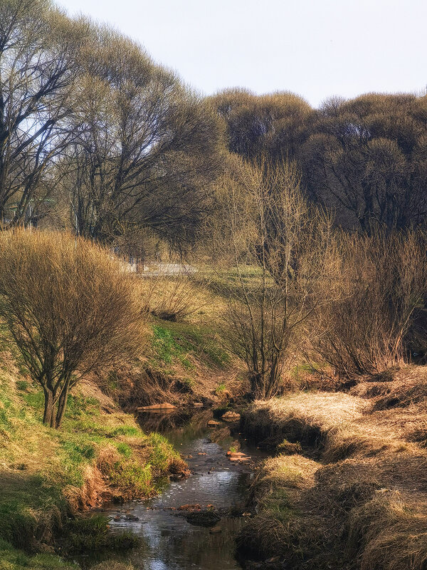 Парковый пейзаж. - Лилия *
