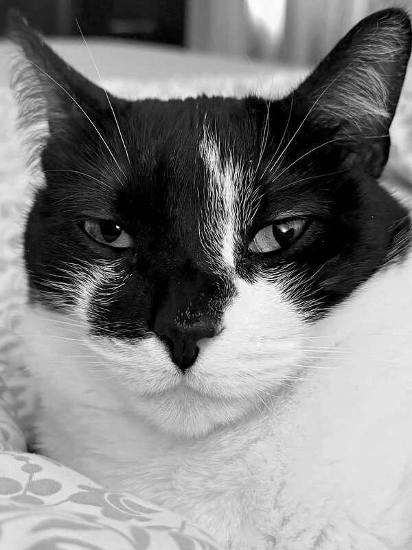 Взгляд - Елена 