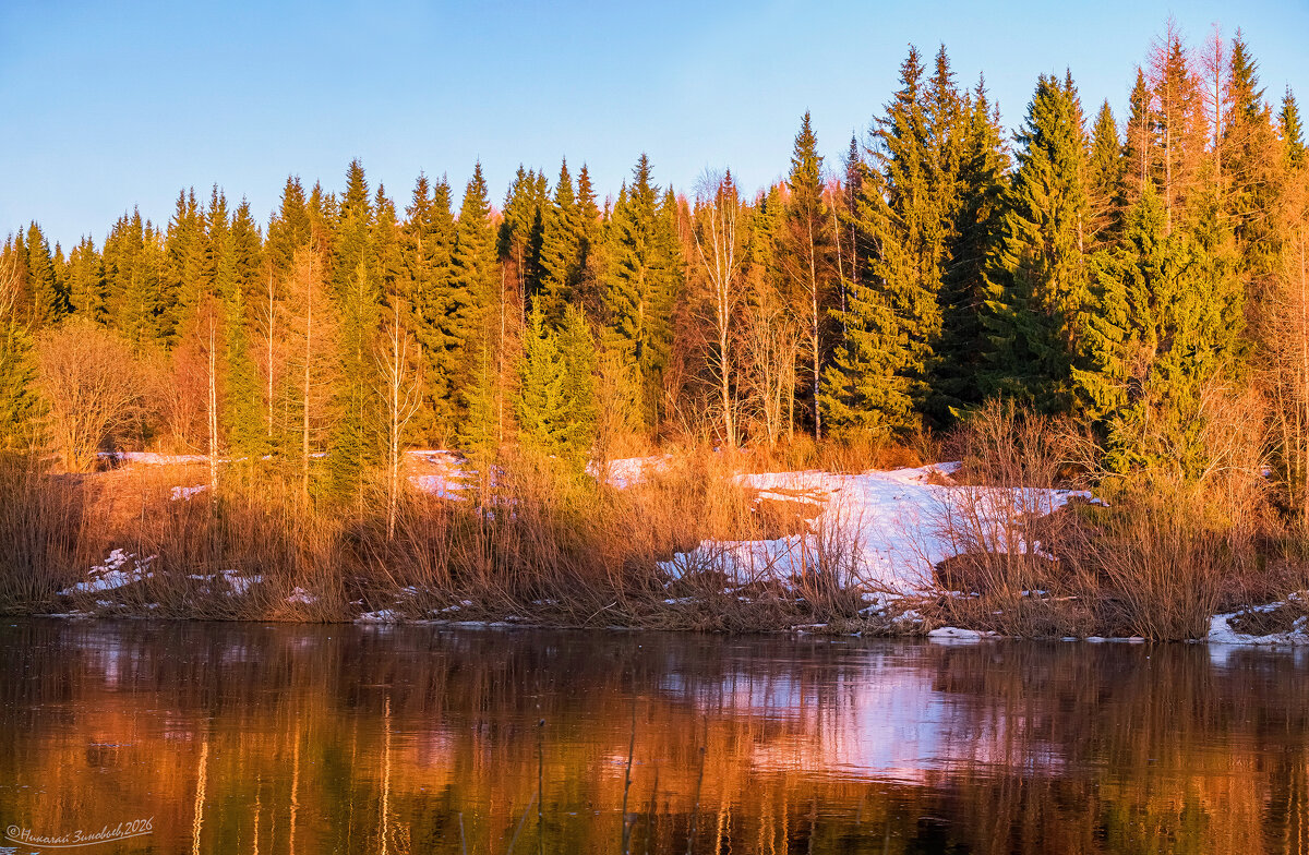 Апрель на берегу реки Ухты. Тайга окрасилась оранжевыми лучами заходящего солнышка - Николай Зиновьев