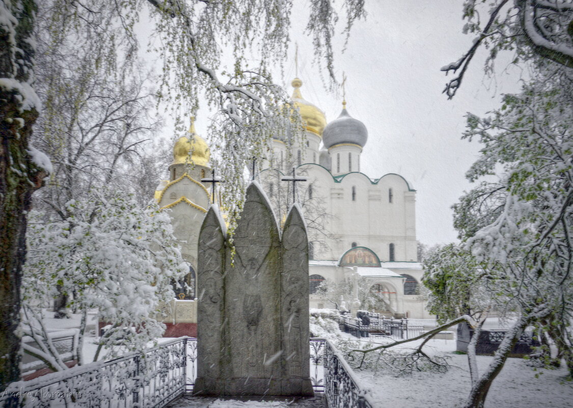 Новодевичий монастырь - Andrey Lomakin