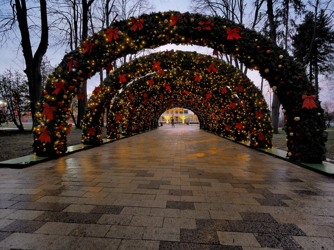 В парке Северного речного вокзала - Евгений Седов