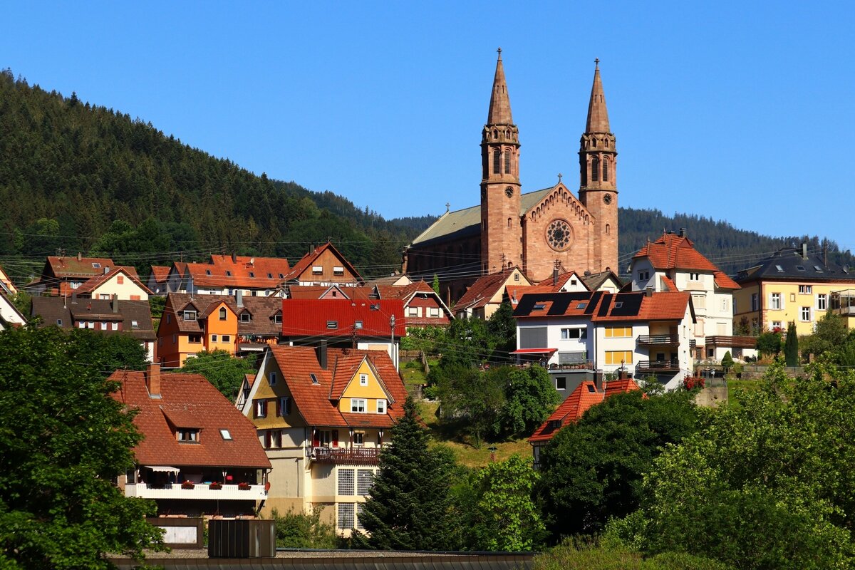 Форбах - Юрий. Шмаков