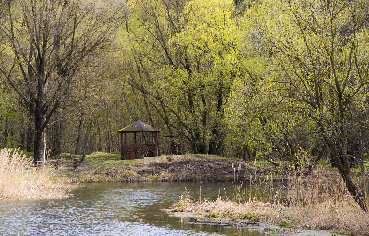 Апрельский этюд - Сергей Фомичев