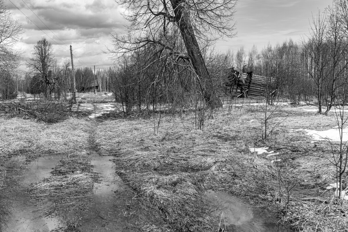 В забытой деревне. - Сергей Ц