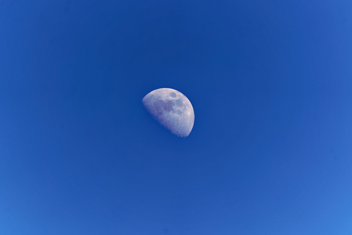 Привет Лунатикам! - Вячеслав Алтай