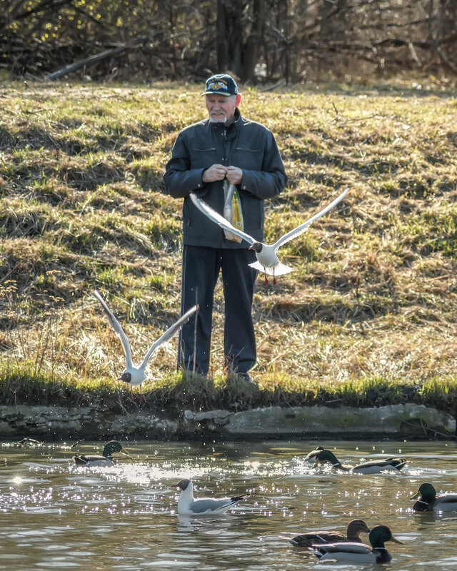 Про Питер - Владимир Колесников