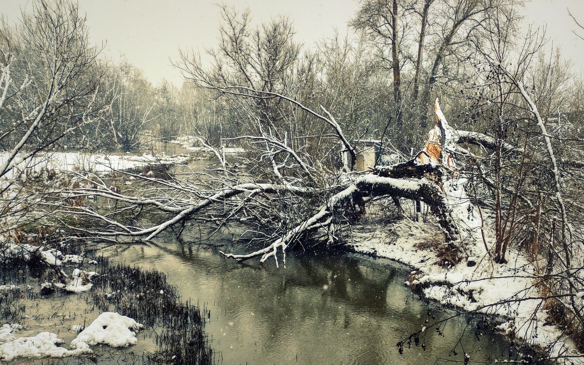 тяжёлый снег - Любовь 