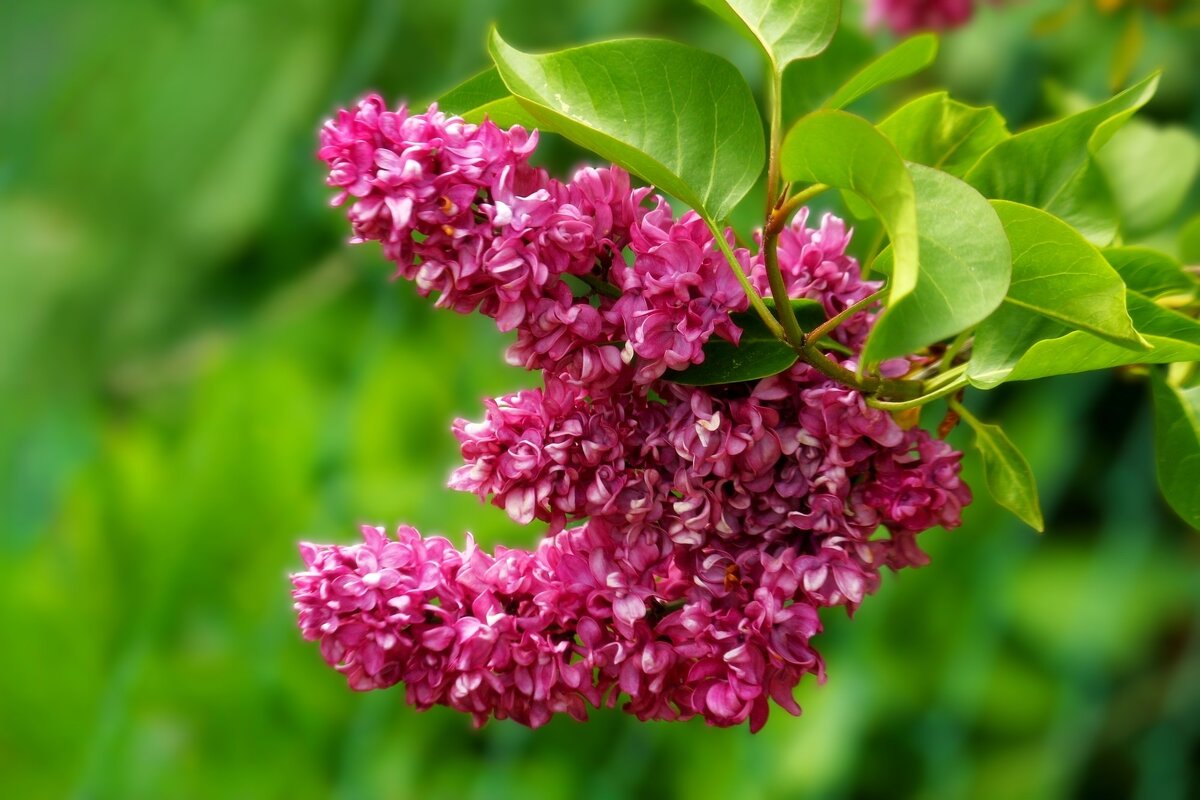 О весне - Юрий. Шмаков