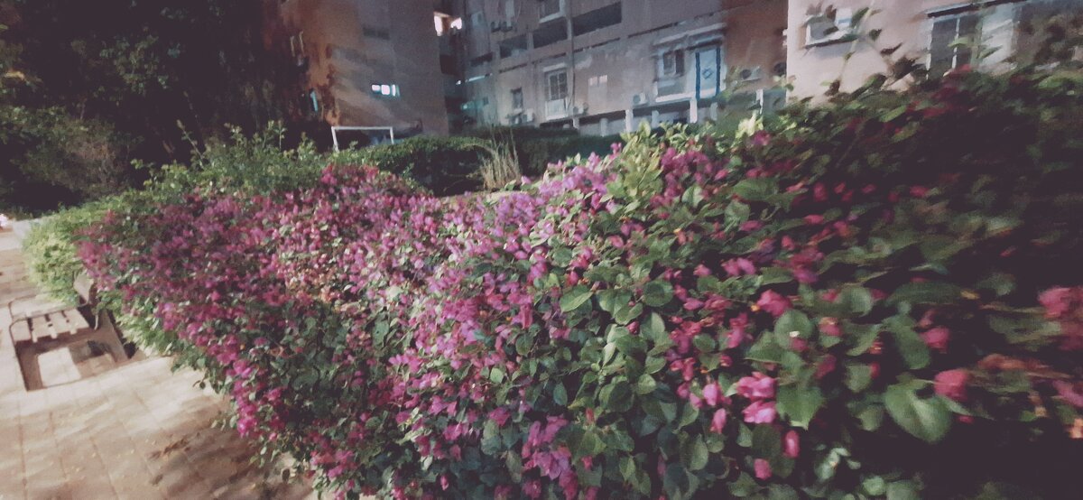 14  КЛОС (137) - CLOSE WAYS ALL