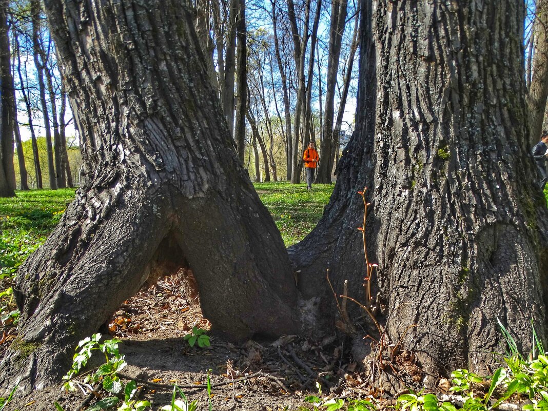 Весна в Лефортово - svk *