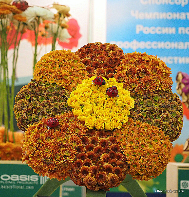 они на радость нам даны - Олег Лукьянов