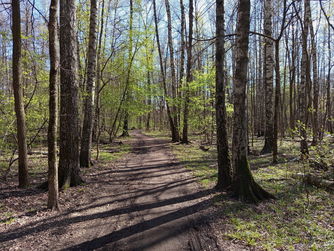 Прозрачность апреля - Андрей Лукьянов
