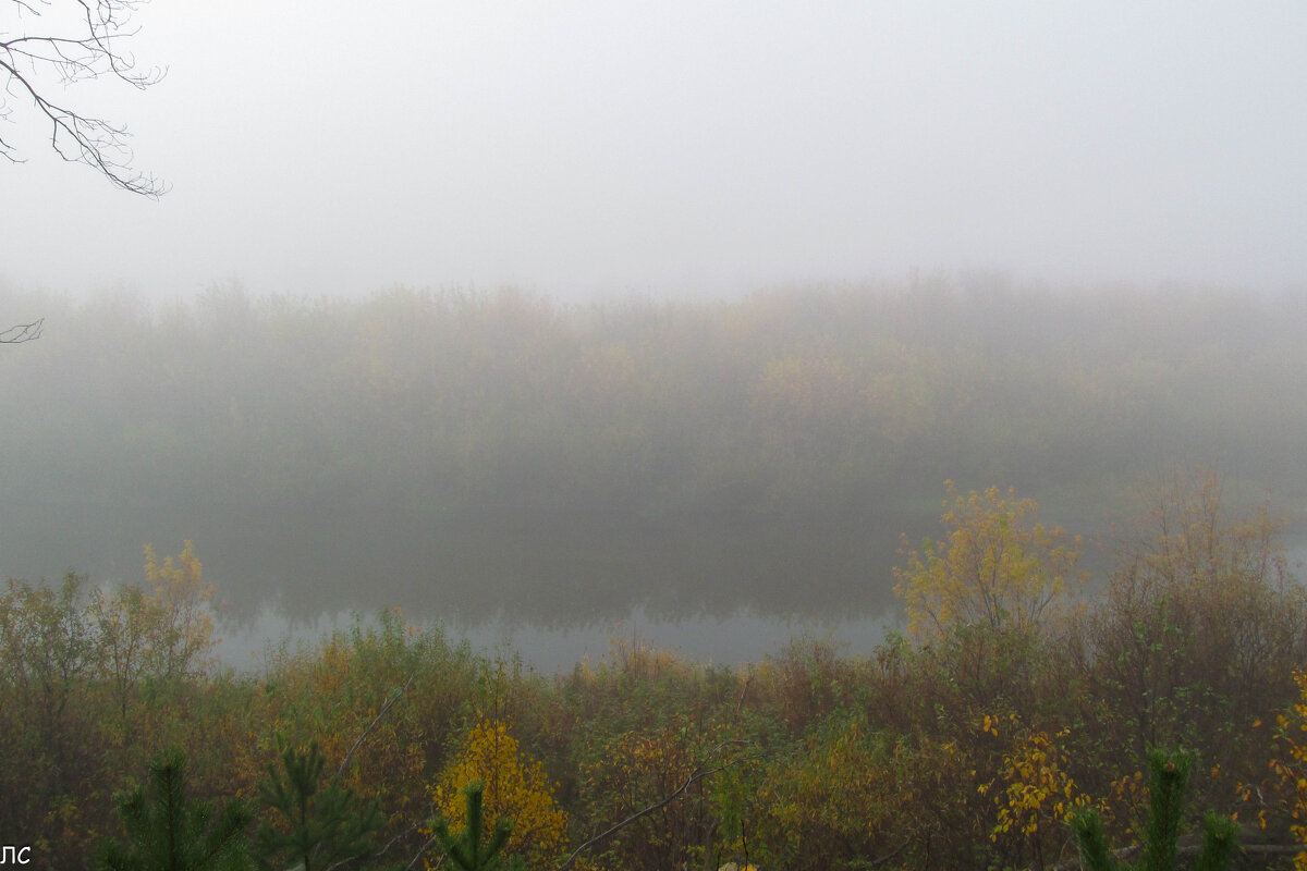 Туманное утро (серия) - Любовь Сахарова