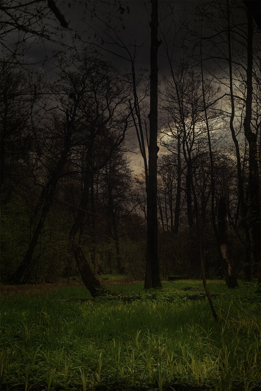 перед бурей - Michel 