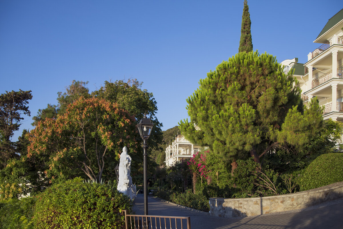 Летнее утро - Леонид 